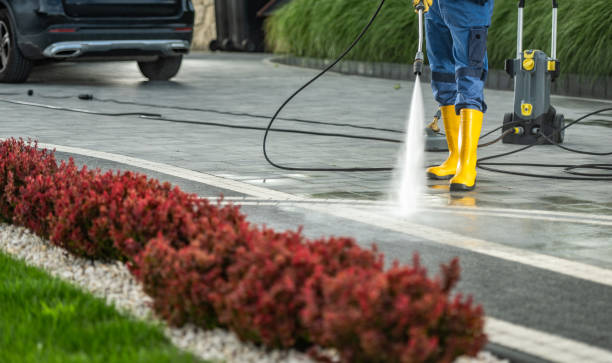Best Oil Spill Cleanup  in Los Altos Hills, CA